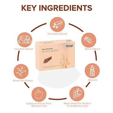 Raaga Professional Stem Cells Infused Anti Acne 6 Step Facial Kit | Cinnamon, Green Grapes, Chilli Pepper Stem Cells | Fights Inflammation | All Skin Types (61 gm)